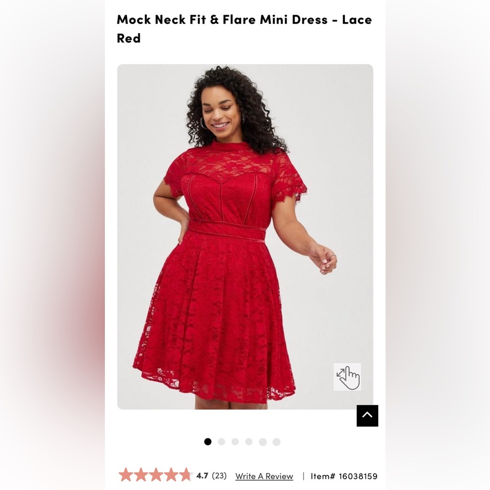 Torrid Mock Neck Fit & Flare Mini Dress - Lace Red